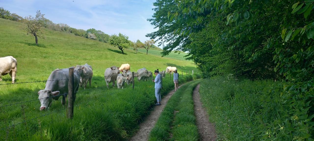 La Croisee Des Chemins Privatunterkunft Arques-la-Bataille